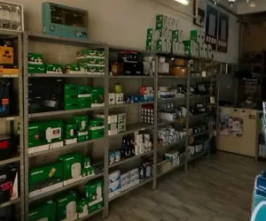 Eletrica-Galvao-Foto (5)