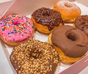 dra donuts e cia foto (13)