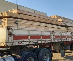 madeireira mds foto (1)