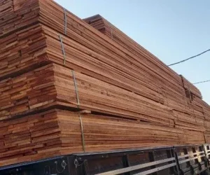 madeireira mds foto (11)