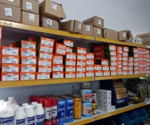 madeireira mds foto (12)