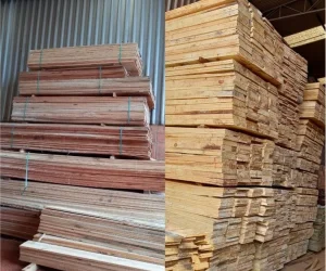 madeireira mds foto (6)