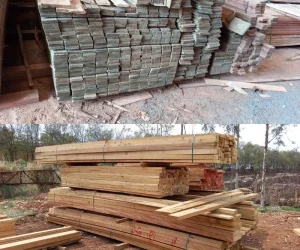 madeireira mds foto (8)