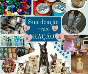 ong amigo nao se compra foto (2)