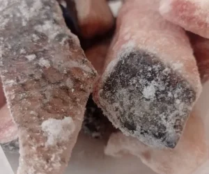 peixaria da luh foto (11)