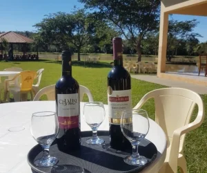 pesqueiro e pousada perez foto (5)