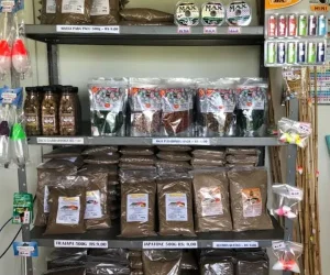 pesqueiro e pousada perez foto (8)