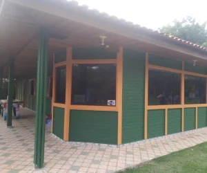 Welington Pinturas Fotos (9)