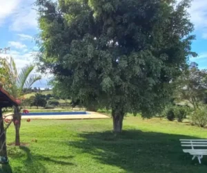 Belas & Sol Resort Fotos (4)