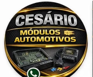 Cesário Chaves Codificadas 15 (1)