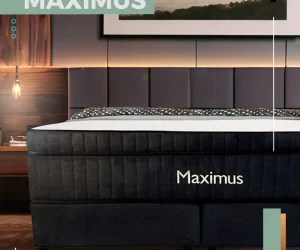 Maximus Colchões Fotos (1)