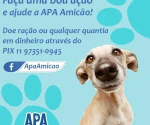 apa-amicao-guia-aluminio-top-foto