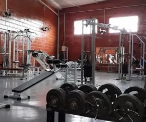 fenix academia foto (14)