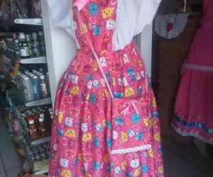 girassol encantato foto (1)