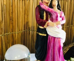 girassol encantato foto (4)