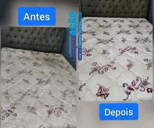limpezacao higienizacao de estofados foto (11)