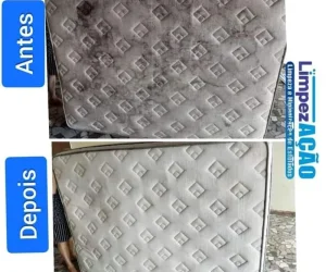 limpezacao higienizacao de estofados foto (13)