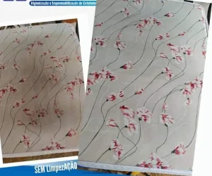 limpezacao higienizacao de estofados foto (4)