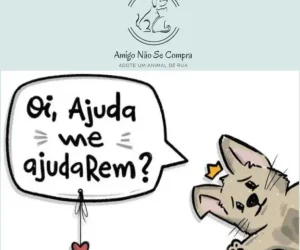 ong amigo nao se compra foto (1)