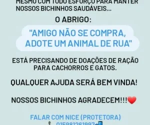 ong amigo nao se compra foto (4)