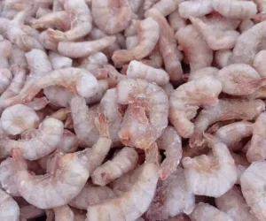 peixaria da luh foto (4)