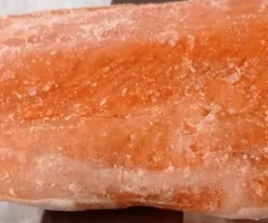 peixaria da luh foto (7)