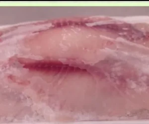 peixaria da luh foto (8)