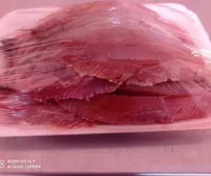 peixaria da luh foto (9)