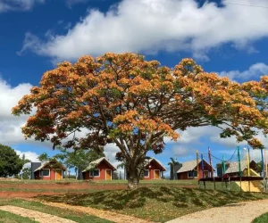 pesqueiro e pousada perez foto (11)