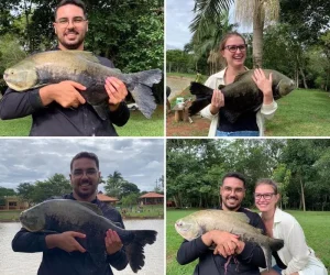 pesqueiro e pousada perez foto (3)