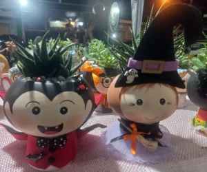 val arranjos foto (5)