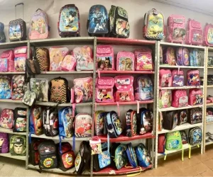 zebra tem tudo foto (4)